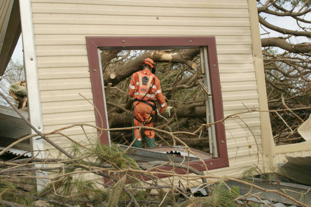  Tigard, OR Tree Care Services Pros